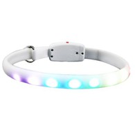 Vízálló LED-es kutyanyakörv